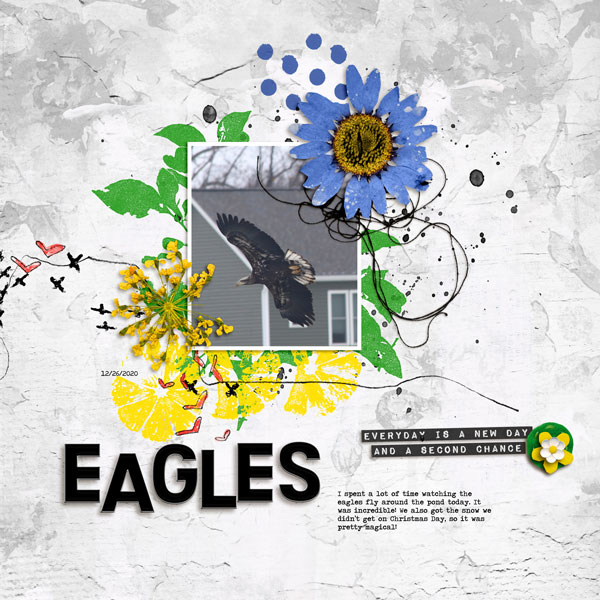 Eagles