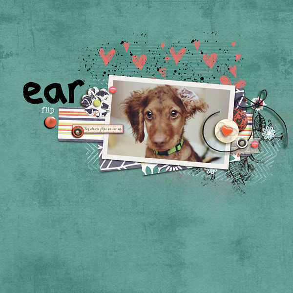 Ear Flip