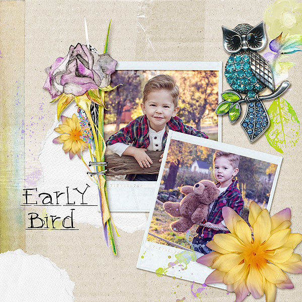 Early birdman