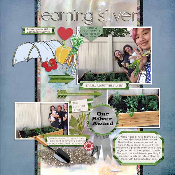Earrning Silver - Web