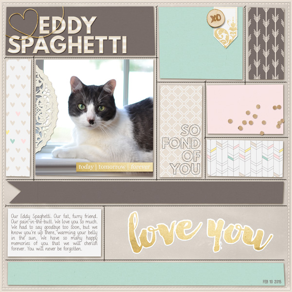 Eddy Spaghetti