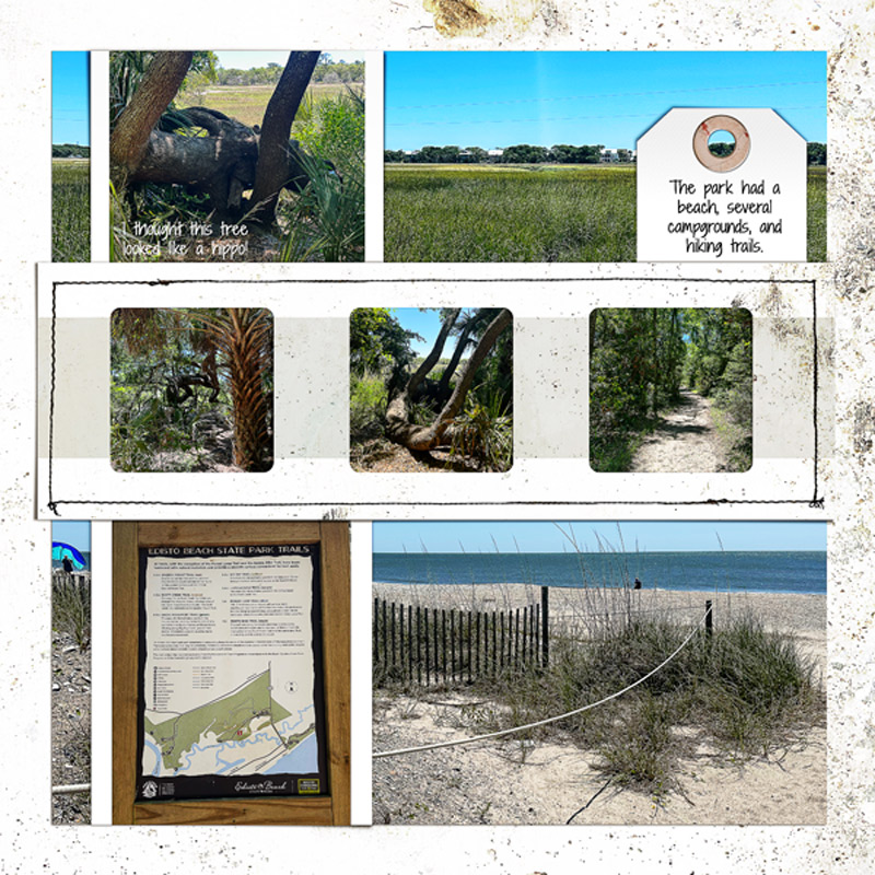 Edisto Beach State Park Hike_right