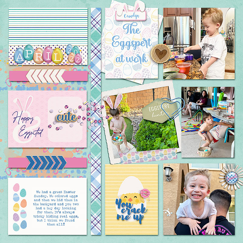 Eggsperts