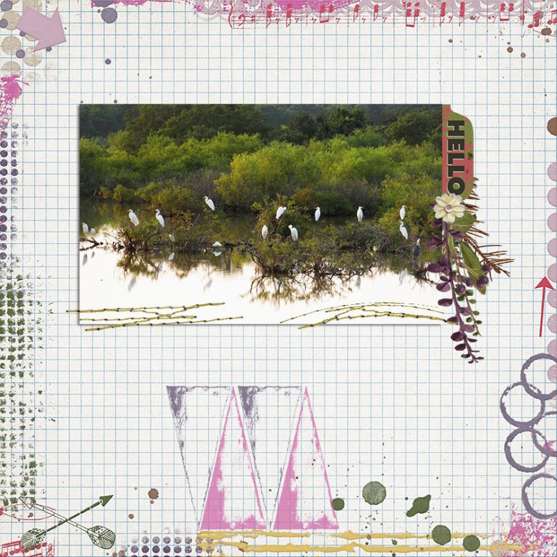 Egret-Committee-12-Days-of-AJ-Day-12