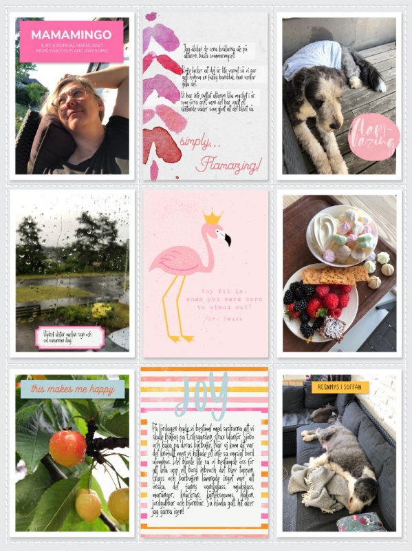 EHStudio-Soco-Flamazing-annsofie-800b