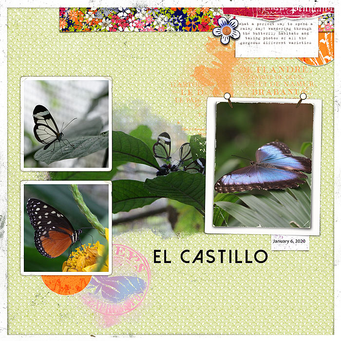 El Castillo Butterfly Farm