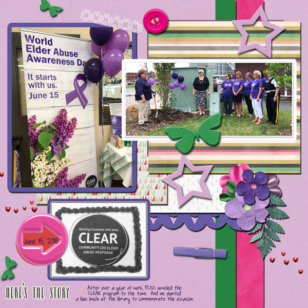 Elder Abuse Day