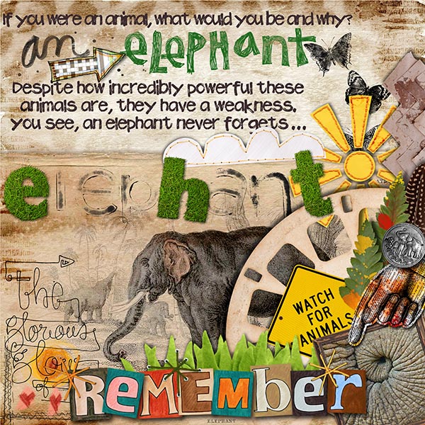 Elephant - Dare #312