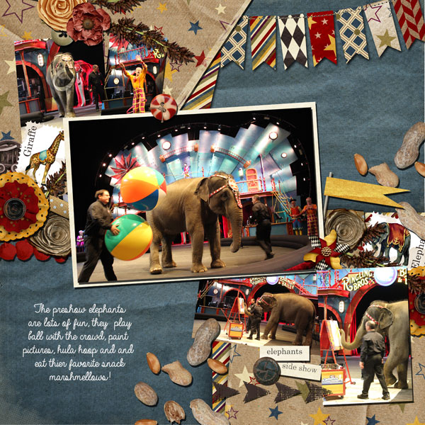 ELephant paintings