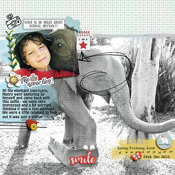Elephant selfie