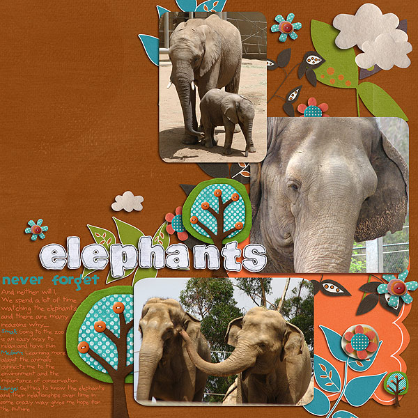 elephants never forget