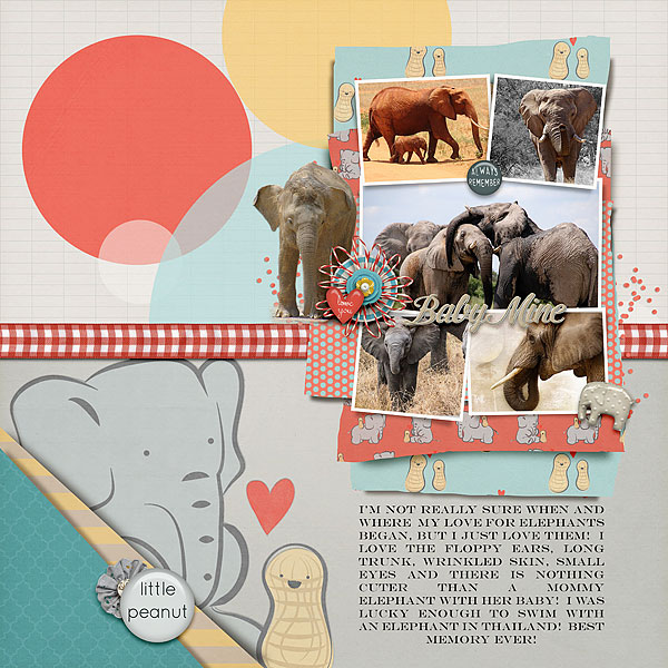 Elephants