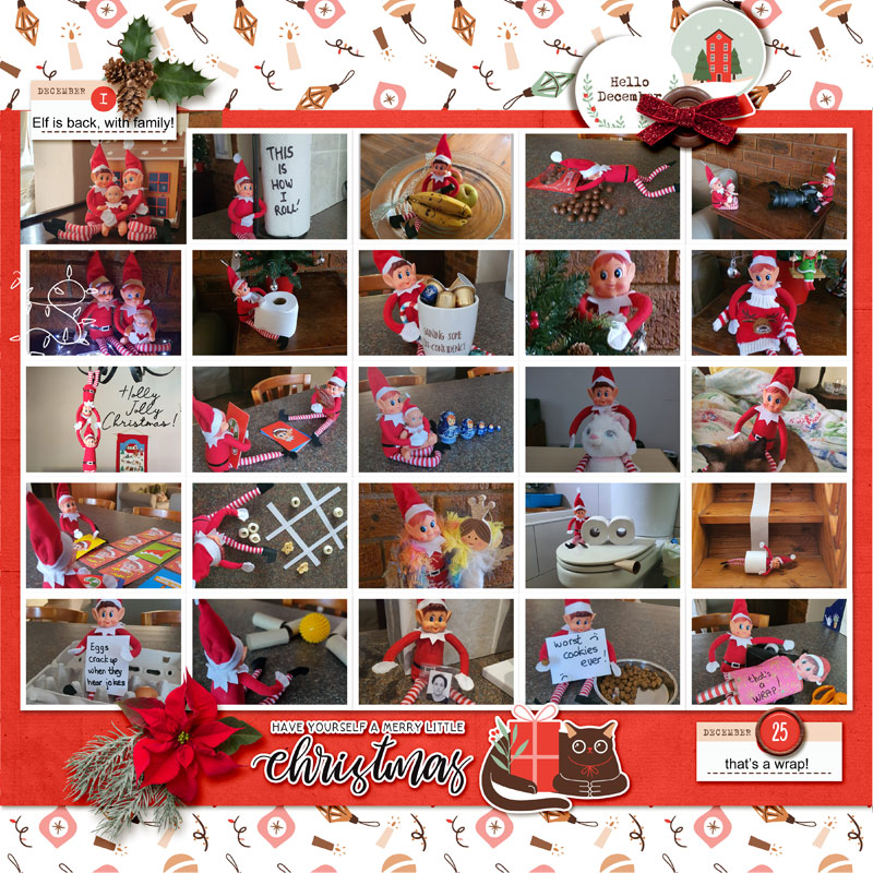Elfed