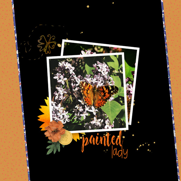 Elif Sahin Designs_Challenge_05-20_Butterfly