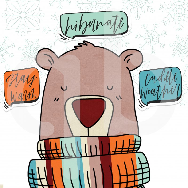 Elif_Sahin_Designs_Hibernate