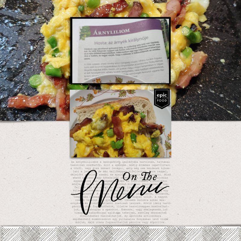 Elif_Sahin_Designs_Meal_in_review
