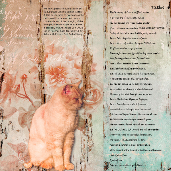 Eliot Cat Name01
