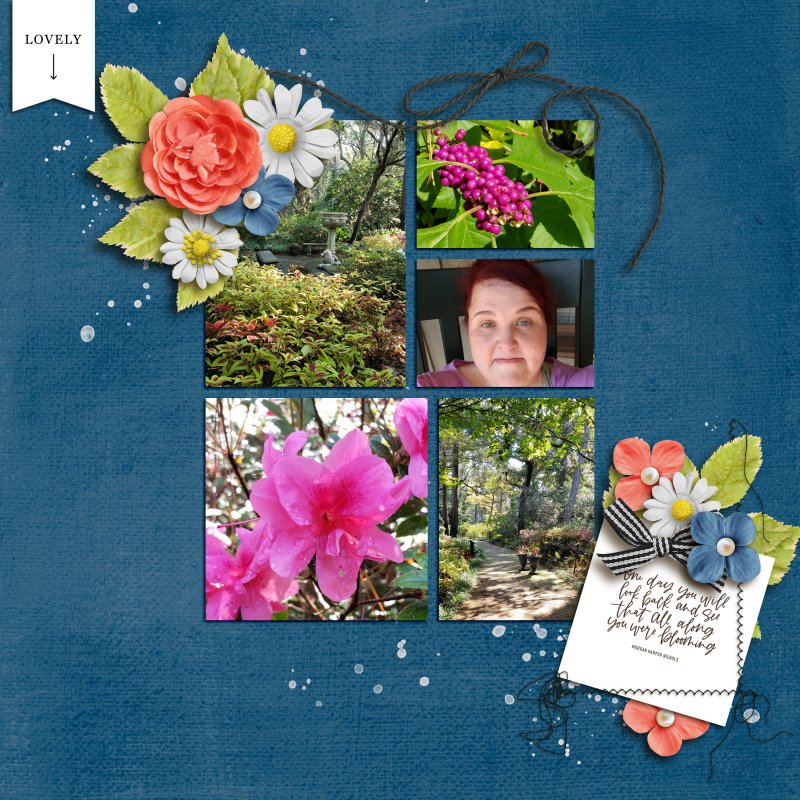 Elizabethan Gardens '19(6)