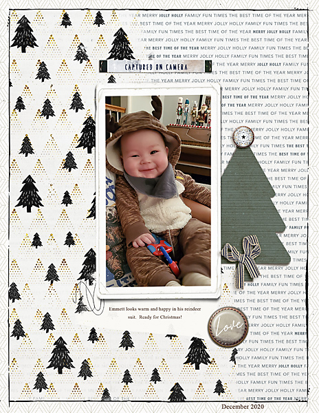 Emmett_Reindeer_flowersgal_web