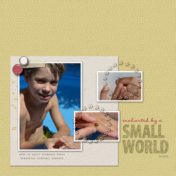 Enchanted by a Small World