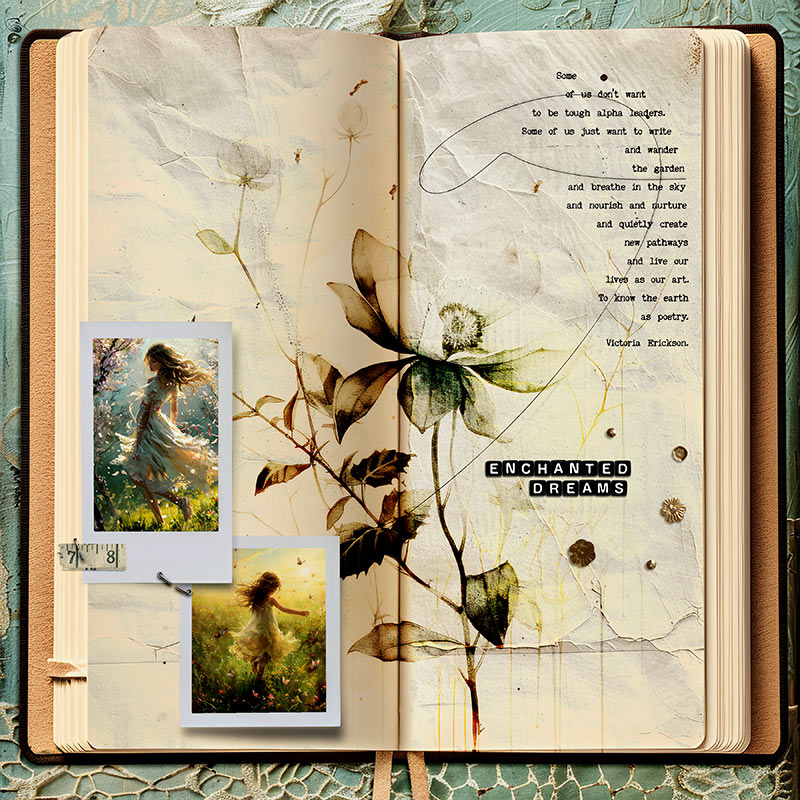 ENCHANTED DREAMS