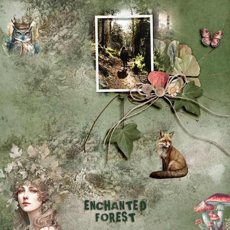 Enchanted Forest