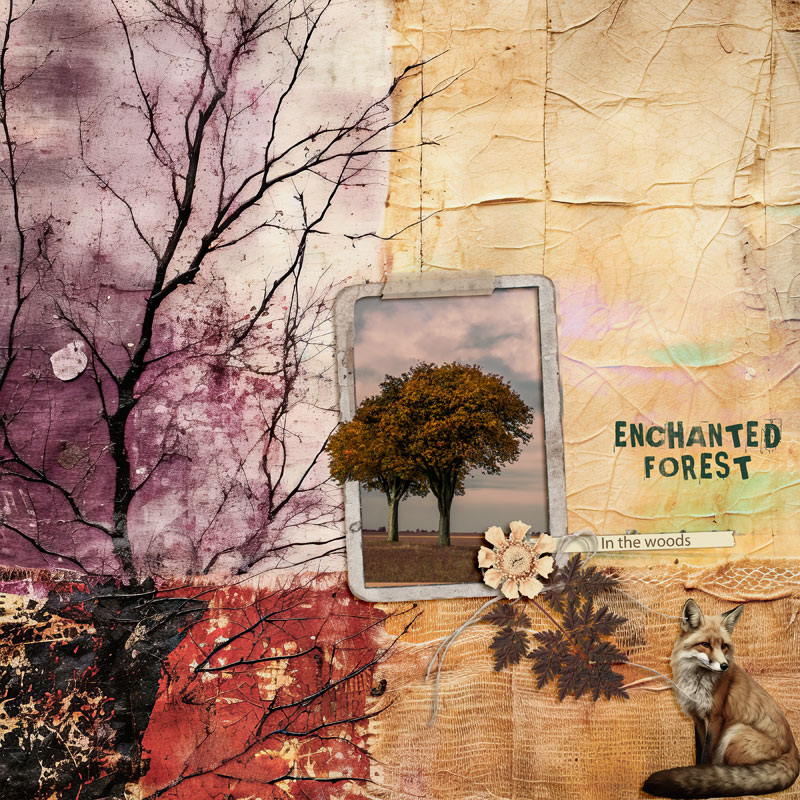 Enchanted Forest
