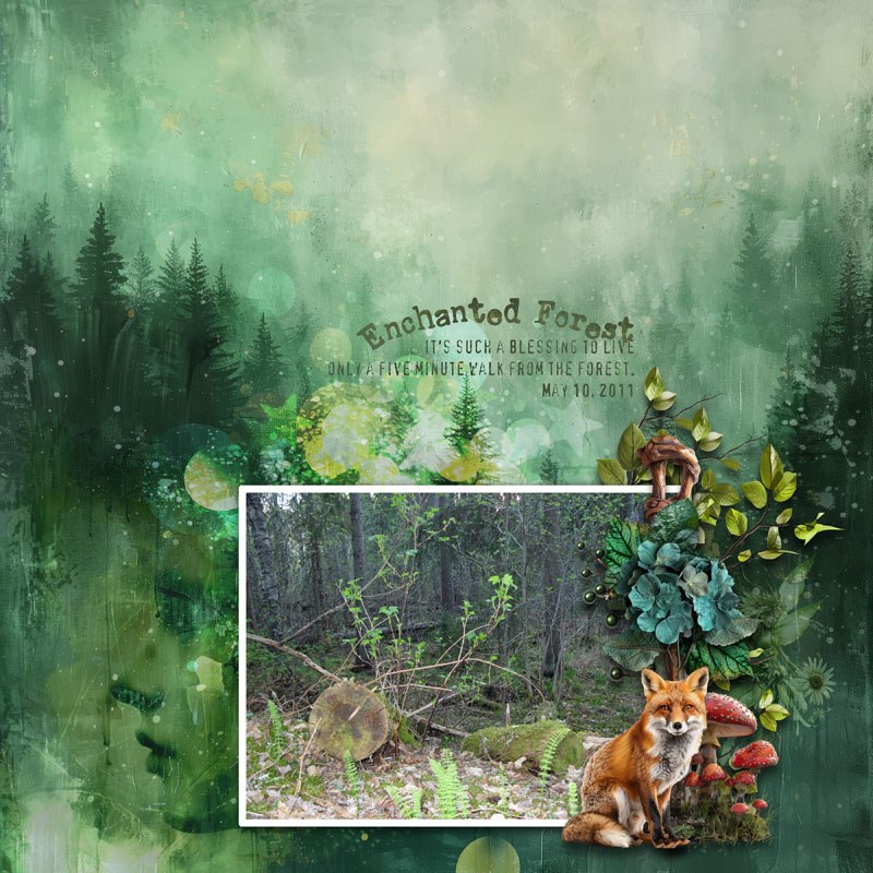Enchanted Forest