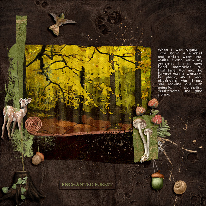 Enchanted Forest