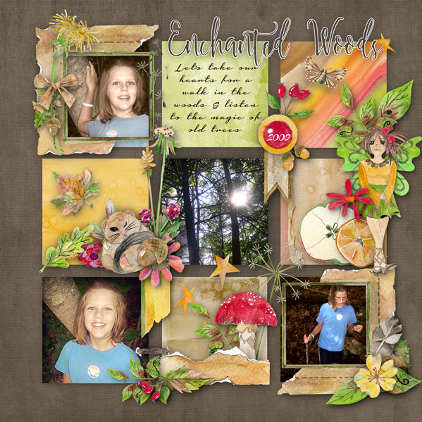 Enchanted Woods