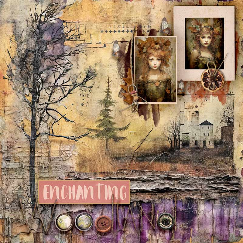 Enchanting-Woodland