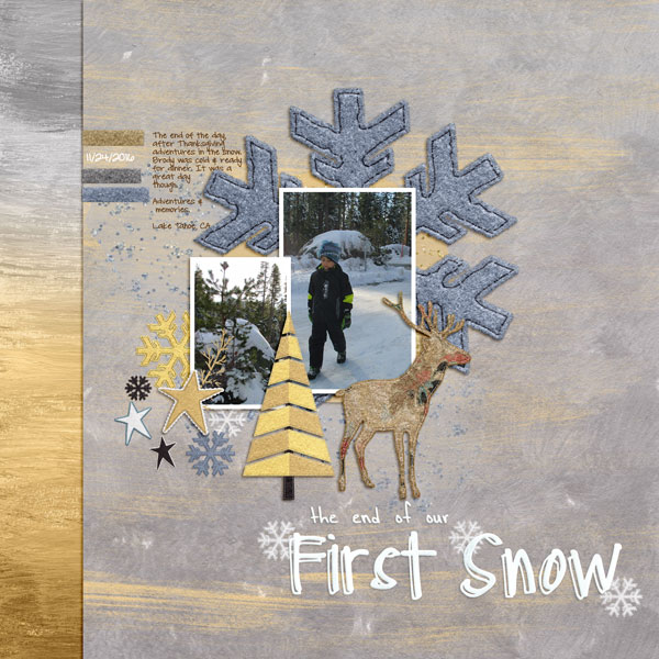 End of our first snow