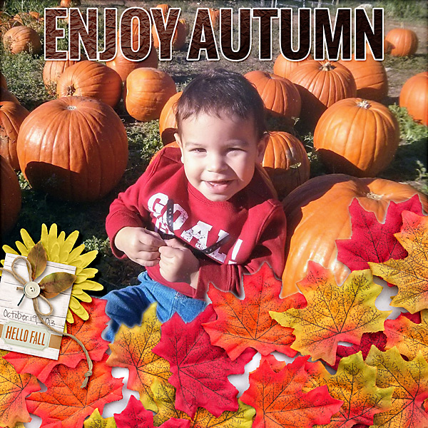 enjoy autumn