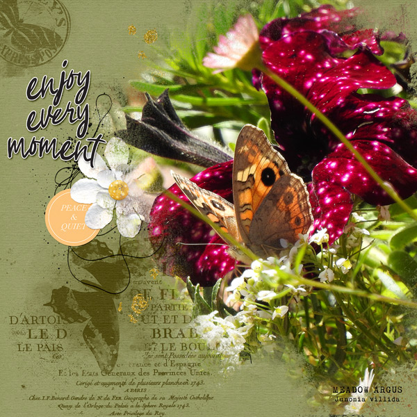 ENJOY EVERY MOMENT