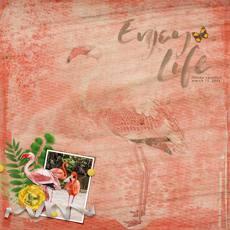 Enjoy-life