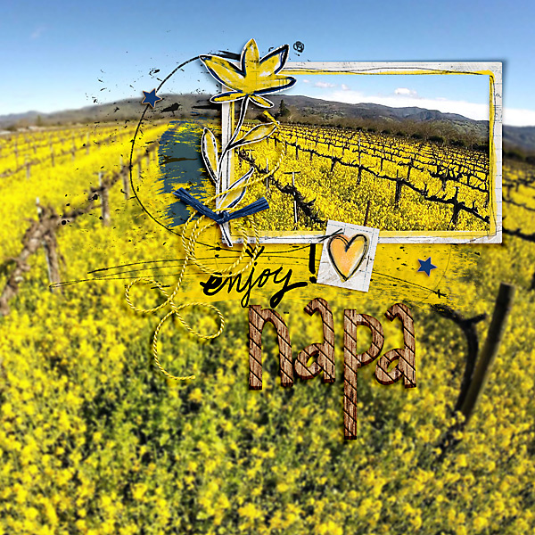 Enjoy Napa