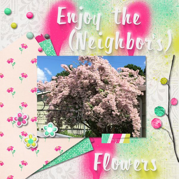 Enjoy the Flowers