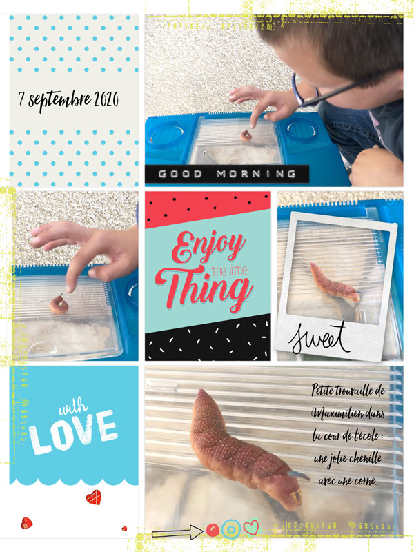 Enjoy the little thing