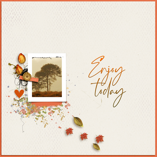 Enjoy Today
