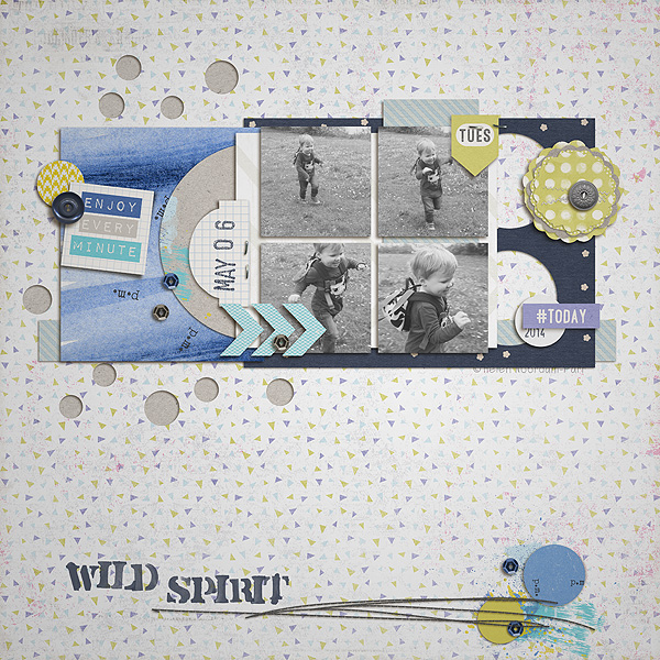 enjoy wild spirit