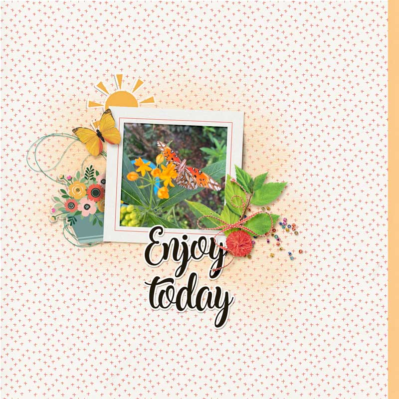 EnjoyLife(MOCDay24)