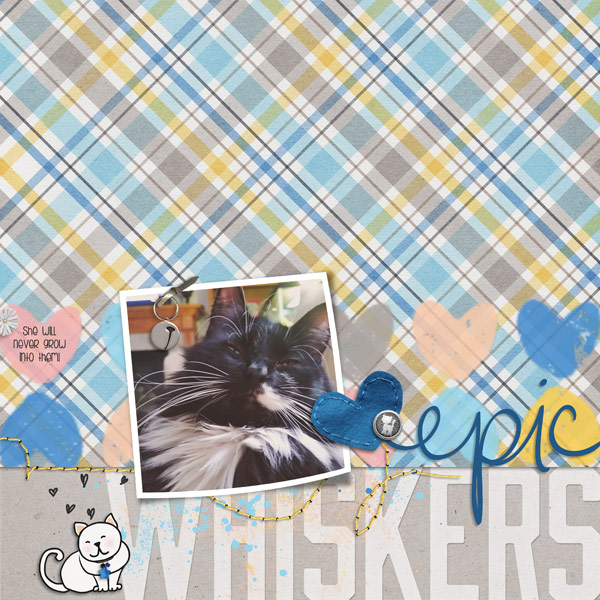Epic Whiskers
