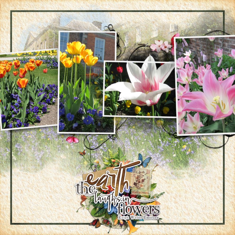 Erddig Flowers