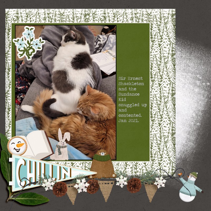 Ernest And Sundance January 2021