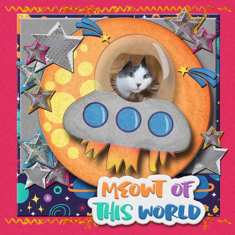 Ernest Space Cat