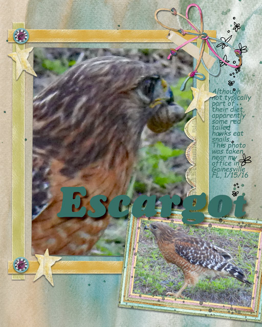 Escargot