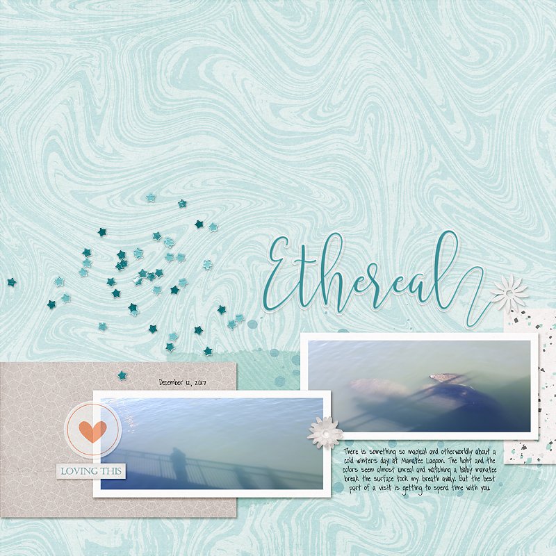 Ethereal Manatees