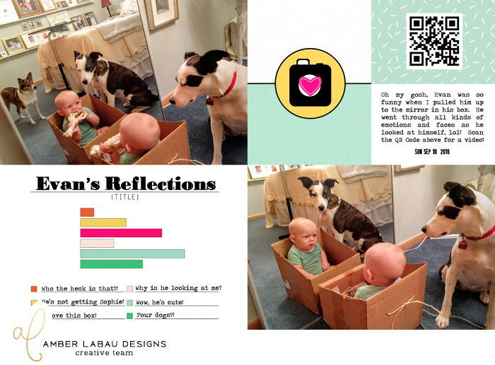 Evan's Reflections