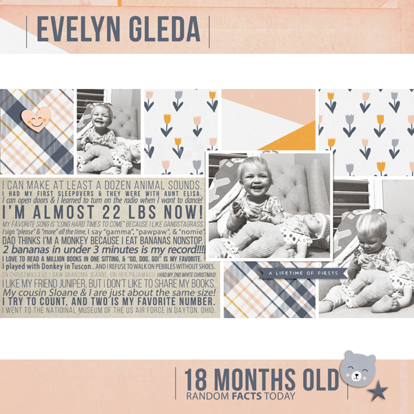 Evelyn 18 Months