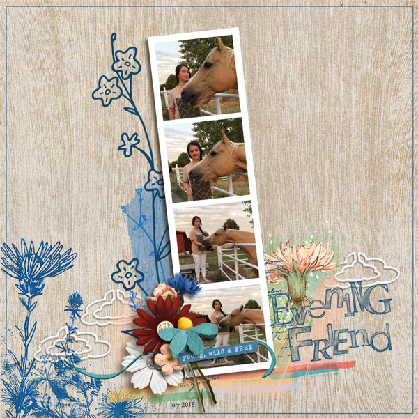 Evening-Friend